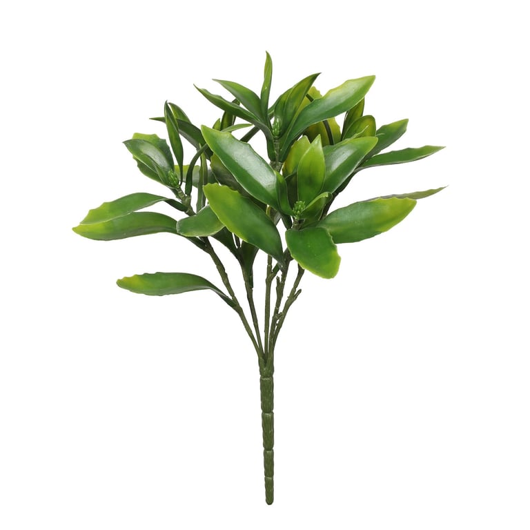 UV Exterior Everlast Sedum Plant - Durable 29cm Outdoor Succulents with UV Resistance