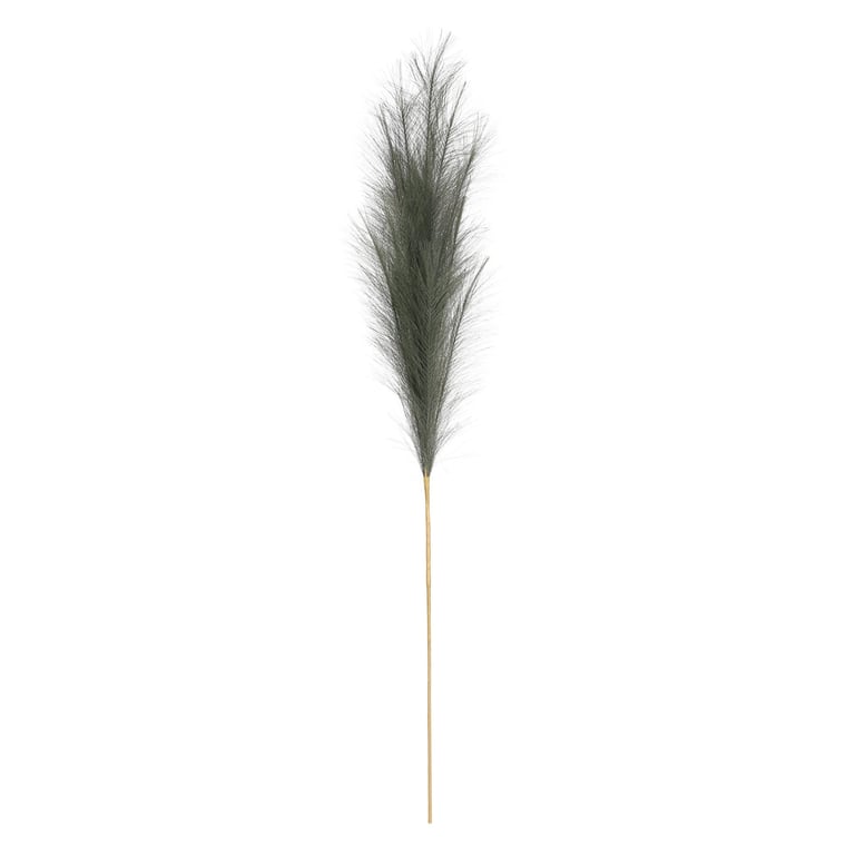Luxury Pampas Fern Green - Elegant Natural Dried Flower Arrangement for Home Garden Decoration