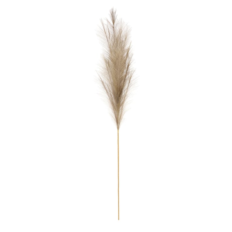 Luxury Pampas Sage Green - Elegant Natural Indoor Plants & Outdoor Decoration Accessories