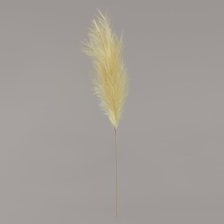 Luxury Pampas Pistachio Green Natural Home Decor - Fall Seasonal Decorations