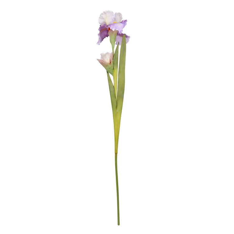 Monet Iris Light Purple 87cm Artistic Home Decor Wall Hanging
