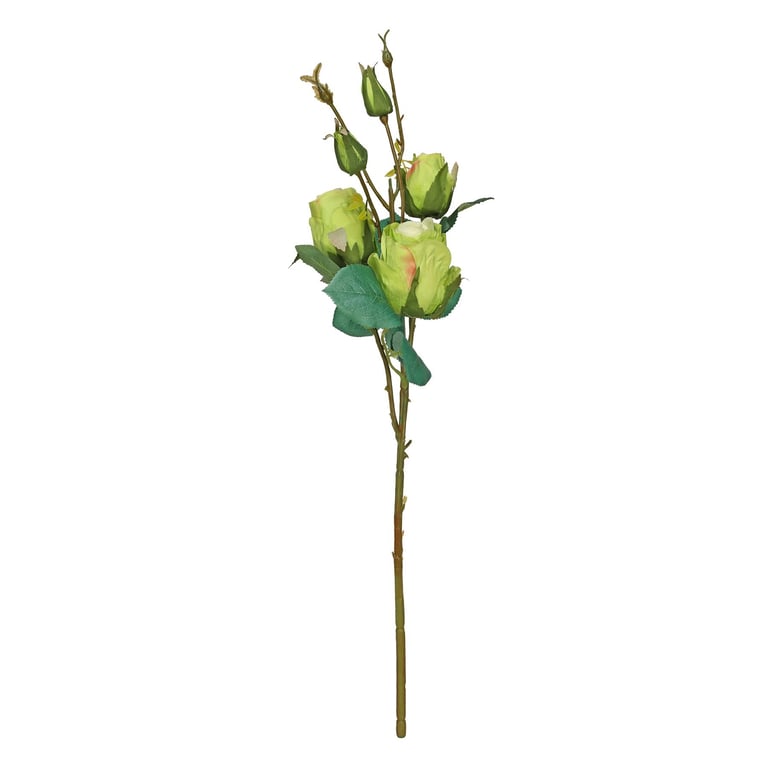 51cm Rose Spray Lime Indoor Succulent Planter - Home & Garden Decor Accessory