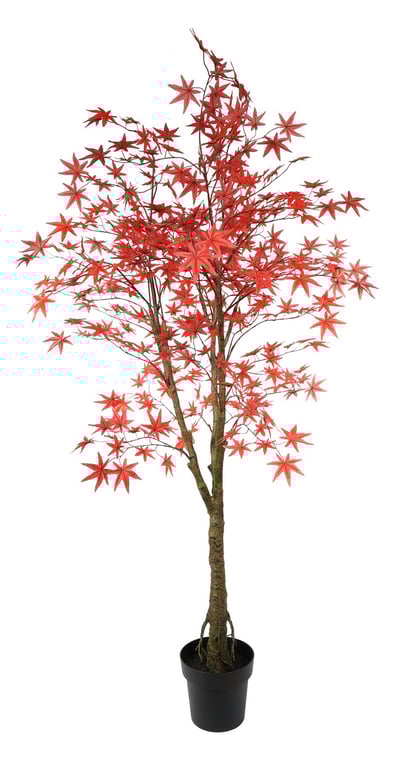 Glamis 160cm Potted Maple Tree - Indoor Home Decor and Garden Decoration