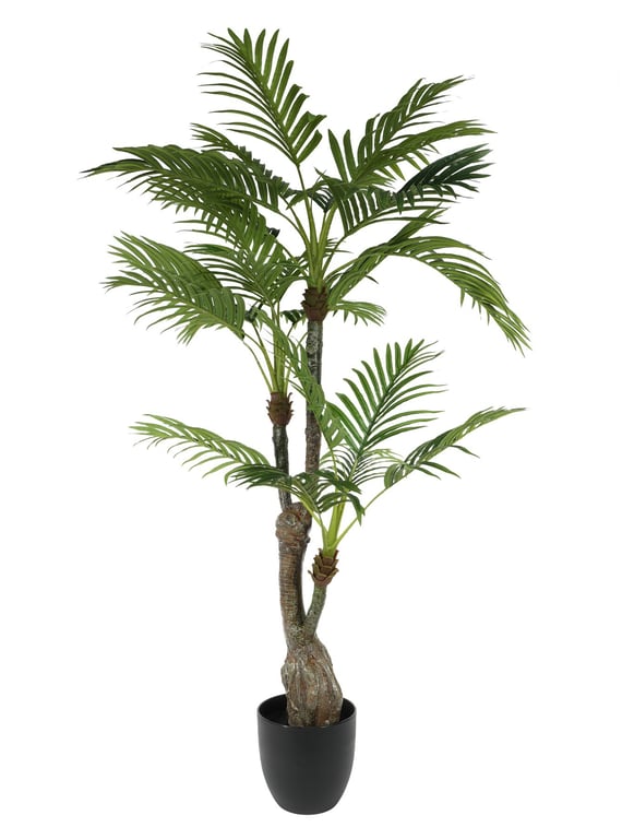 Large Tropical Palm Potted House Plant (130cm) - Indoor Greenery for Home Decoration