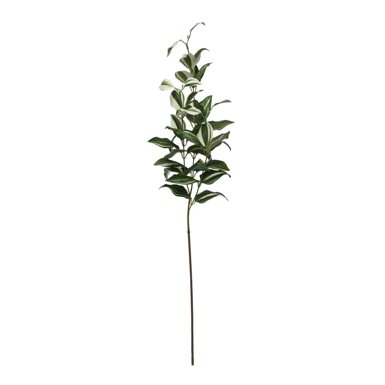 Tradaescantia Spray - Easy Care Indoor Vine Plant (74cm)