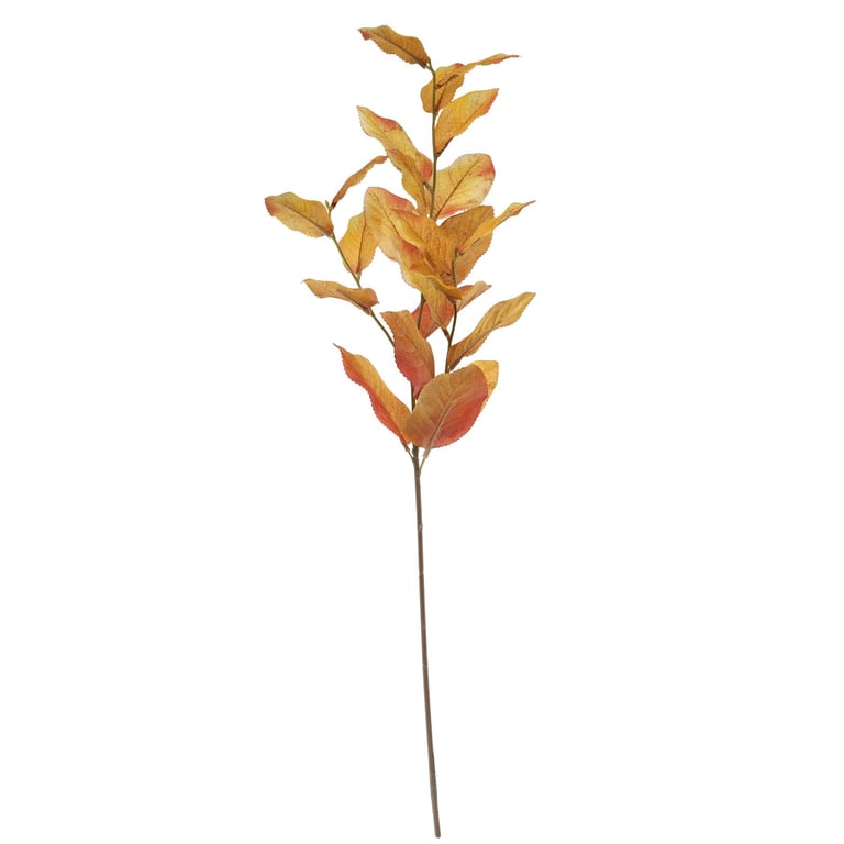 Glamis Lemon Spray Orange Plant - 74cm Tall Indoor Decoration for Home Garden