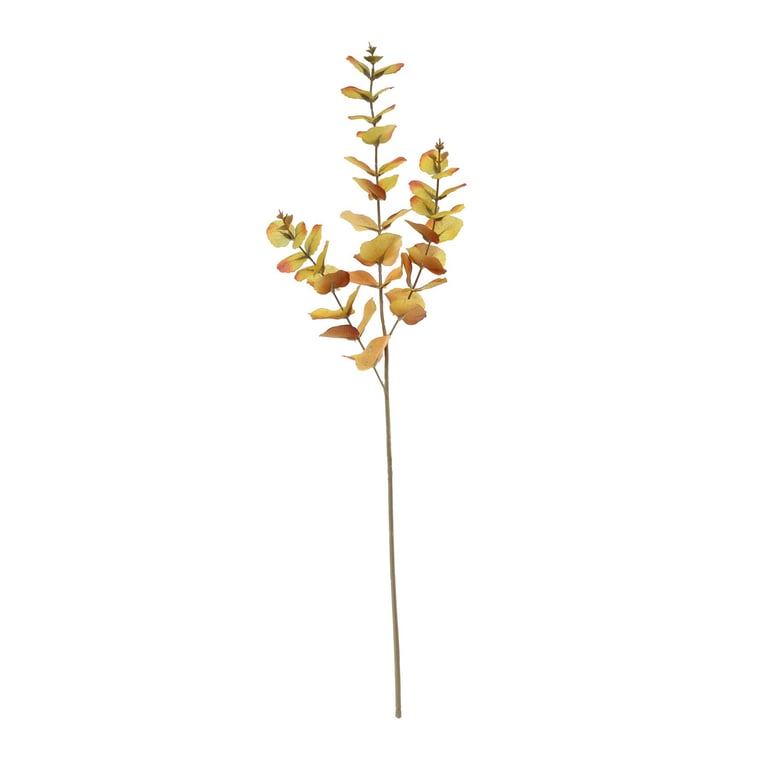 Glamis Eucalyptus Spray - Refreshing Orange Room Freshener and Home Fragrance Scented Wand (73cm)