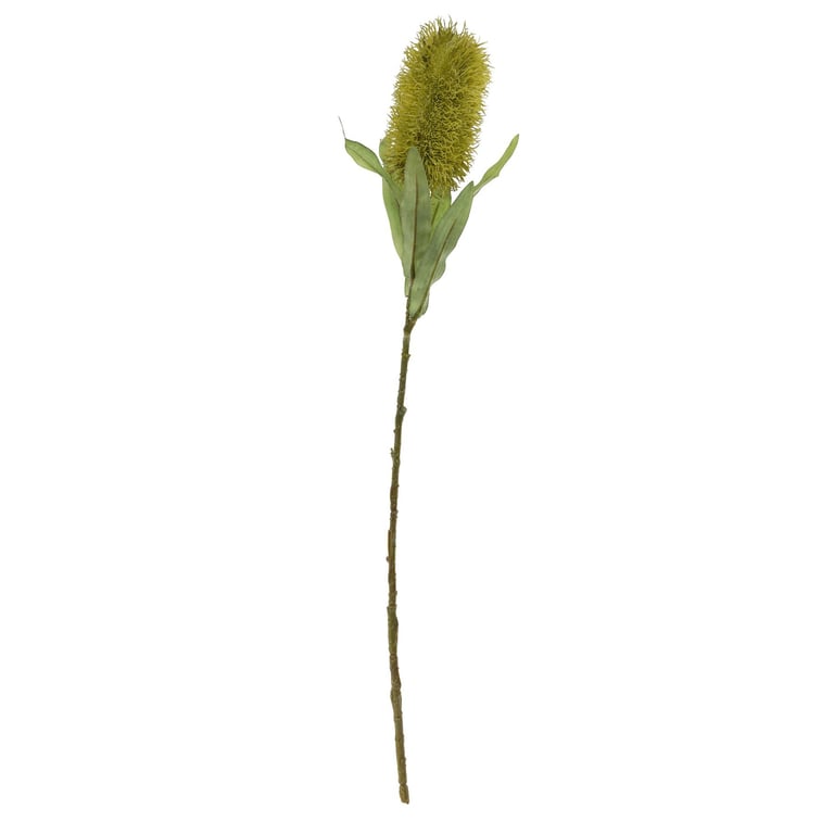 Pagoda Flower Green - 65cm Indoor Home Decor Plant