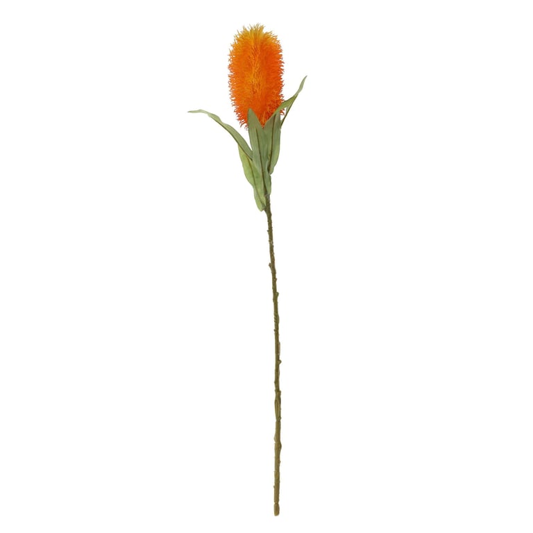 Pagoda Flower Orange - 65cm High Quality Outdoor Garden Decoration Plant