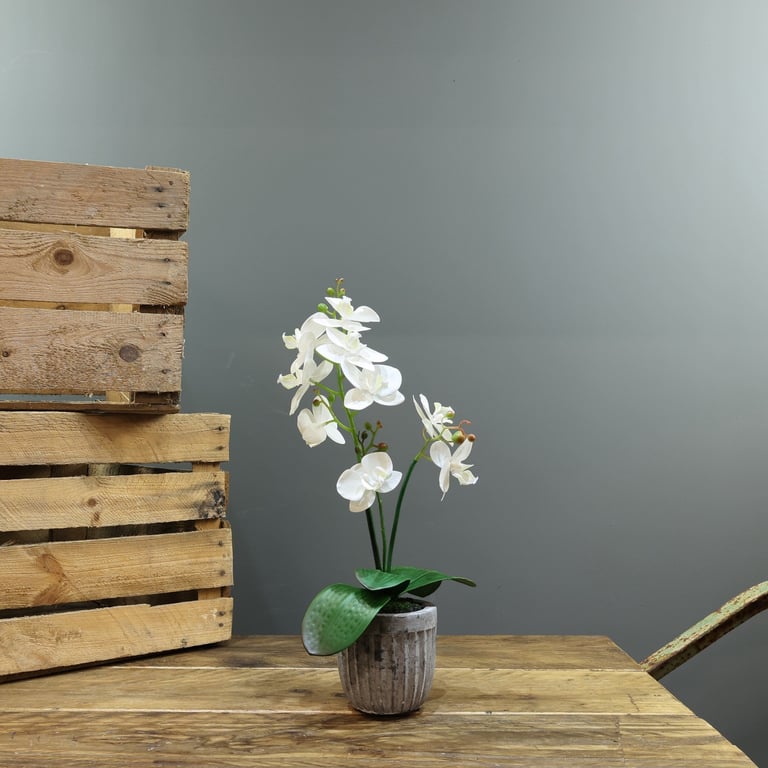 Artificial White Aragon Phalaenopsis Plant - 2 Stems in 42cm Medium Planter