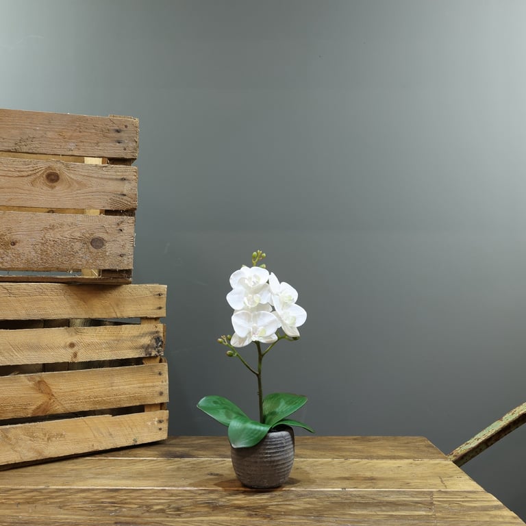 Artificial White Phalaenopsis Orchid Plant in 35cm Medium Planter - Single Stem Home Decor