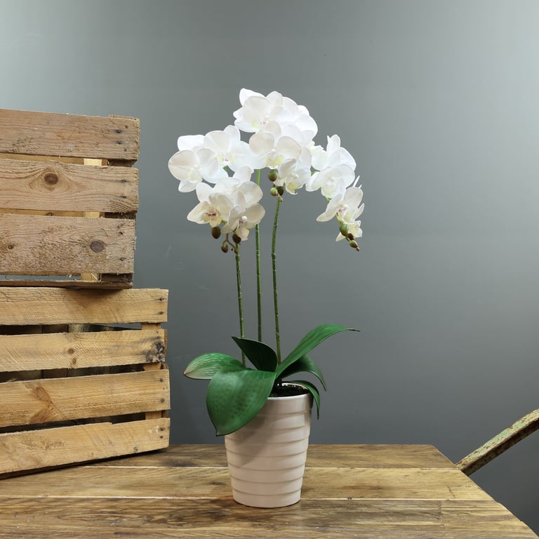 Artificial White Phalaenopsis Plant in Medium Planter - 3 Stems, Perfect Home Decor for Indoor Spaces
