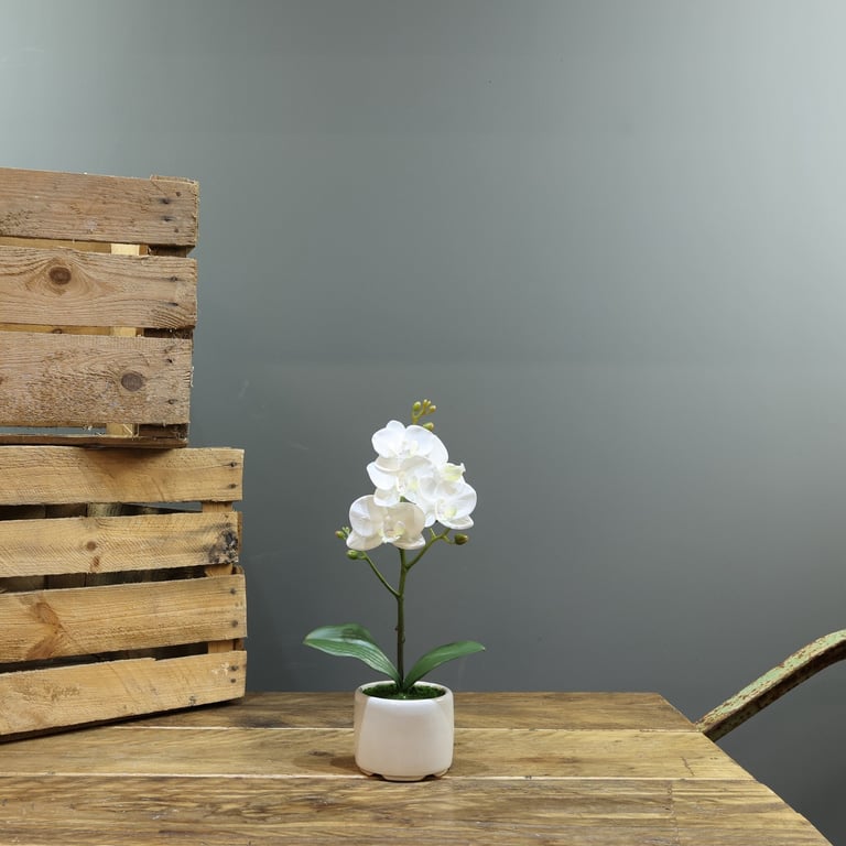 Artificial White Phalaenopsis in Planter 32cm - High-Quality Medium Size Indoor Decor Plant