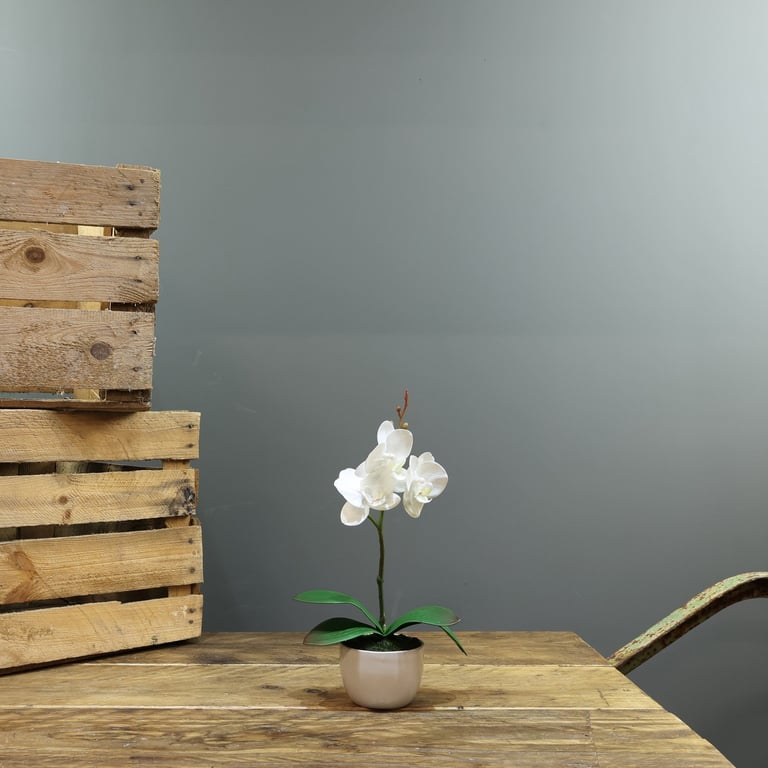 Artificial White Aragon Phalaenopsis Plant in Medium Planter - Home Decor Indoor Flowering Plant