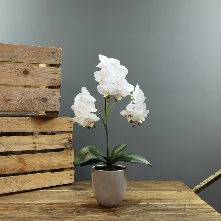Artificial White Aragon Phalaenopsis Plant in Planter - 3 Stem Indoor Home Decor