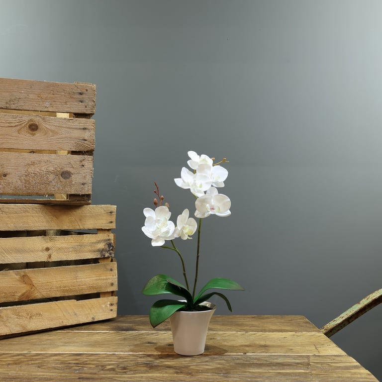 Artificial White Aragon Phalaenopsis Plant in Brown Planter - 2 Stems, 40cm Medium Size