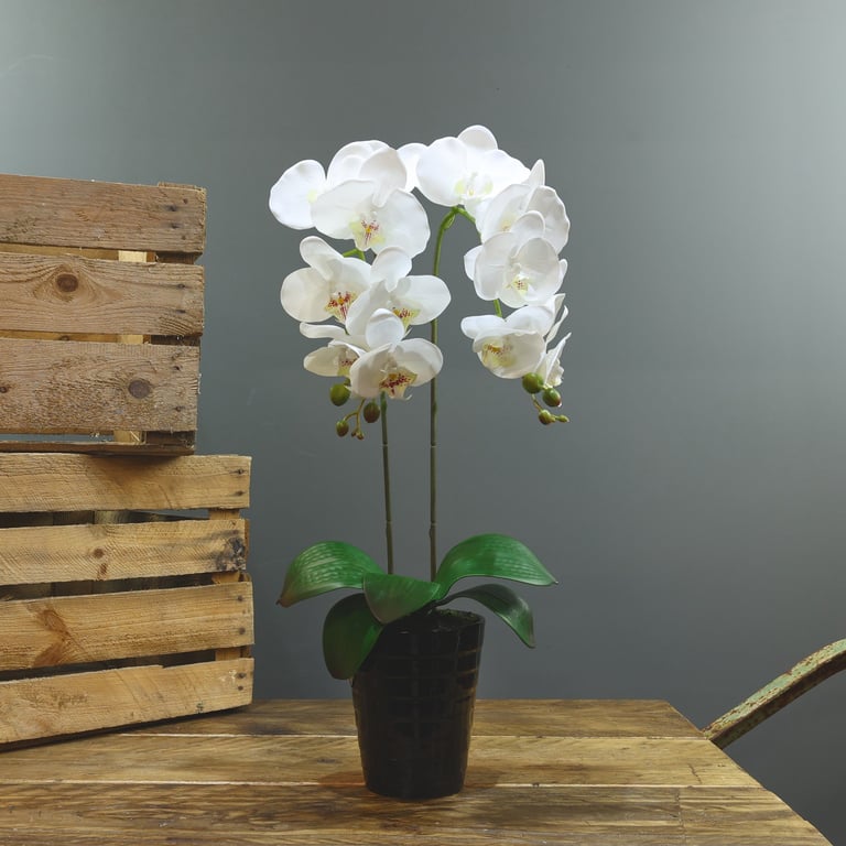 Artificial White Aragon Phalaenopsis Plant in 58cm Black Planter - Long-Lasting Floral Decoration