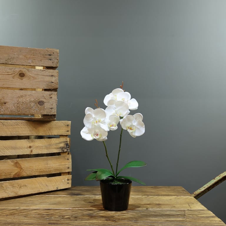 Artificial White Aragon Phalaenopsis Orchid Bunch in 40cm Planter - Long Lasting Indoor Plant Decor