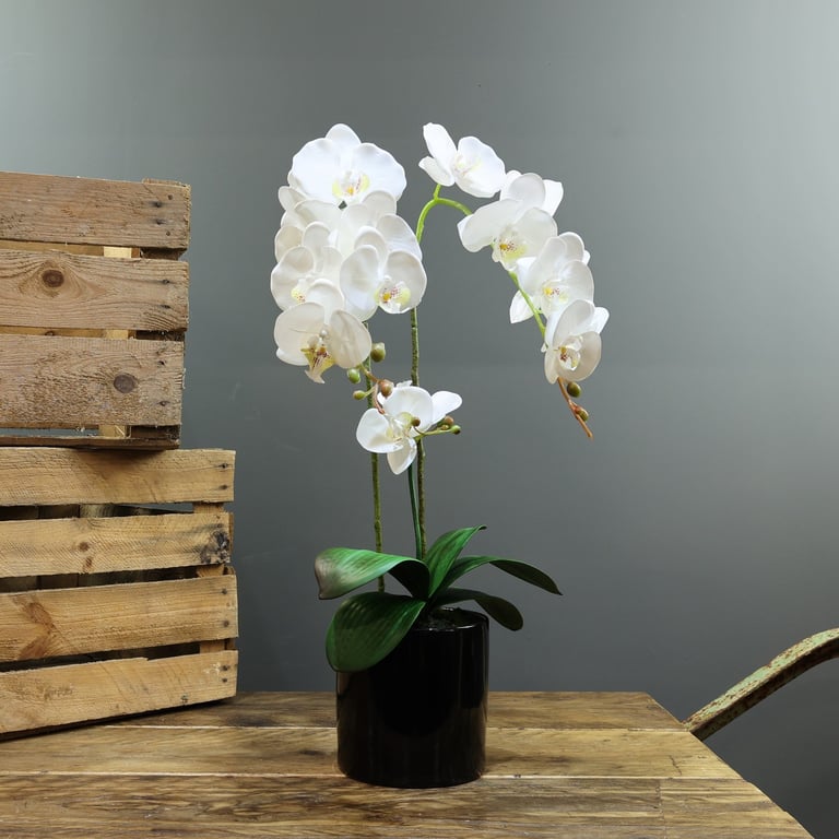 Artificial White Aragon Phalaenopsis Plant in Planter - 3 Stems Indoor Decor