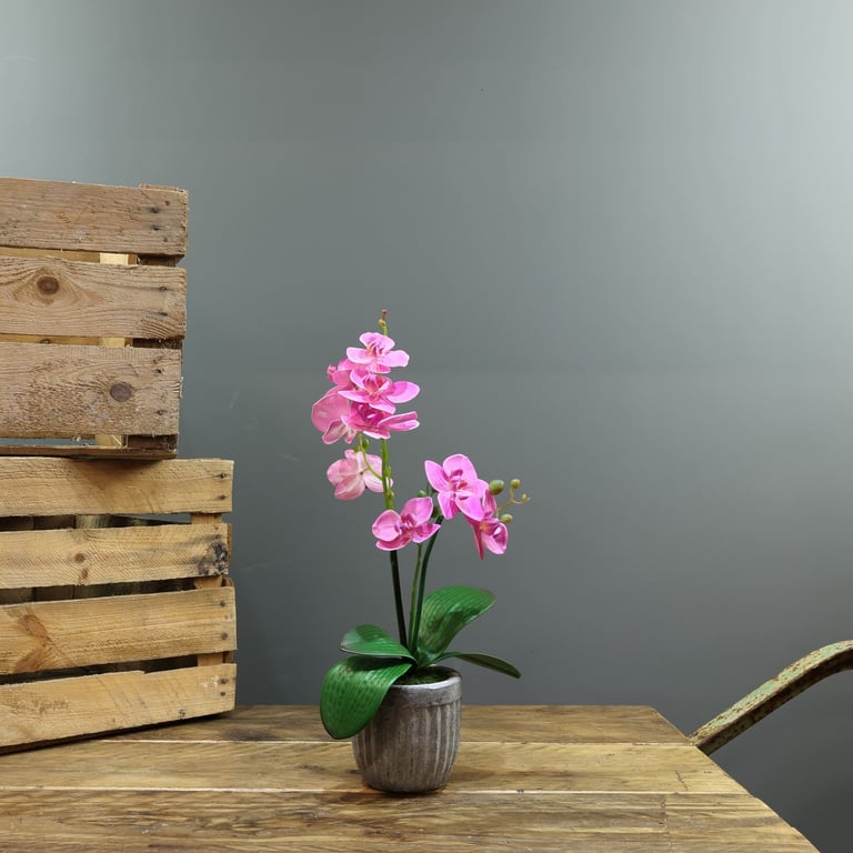 Artificial Pink Aragon Phalaenopsis in Concrete Planter - Durable Indoor Home Decor with 2 Stems