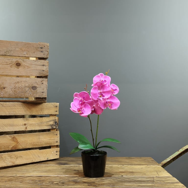 Artificial Pink Aragon Phalaenopsis Orchids in Ceramic Planter - Home Decor Floral Arrangement
