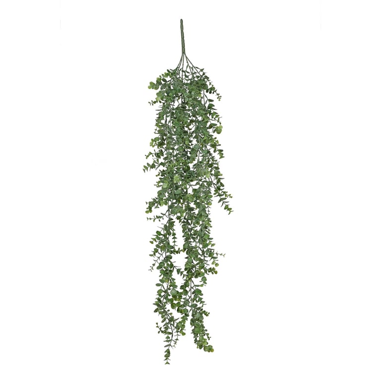 Botanica Eucalyptus Hanging Bush 105cm - Unique Indoor Plant Decor for Home and Garden