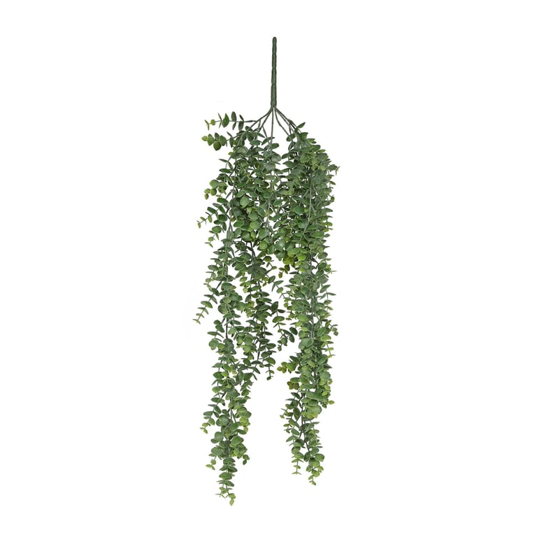 Botanica Eucalyptus Hanging Bush - 80cm Indoor Plant Hanger for Home Decor