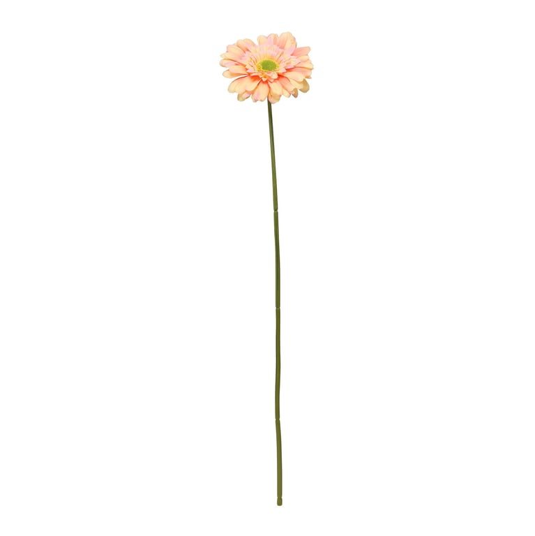 Peach Gerbera Stem - 72cm Long Lasting Home Decor Flower Arrangement