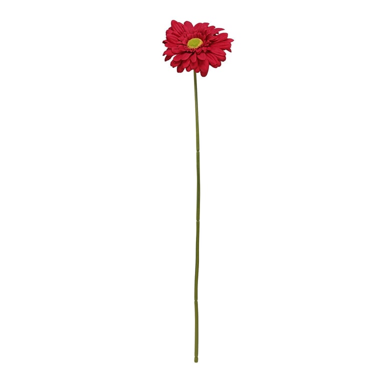 Burgundy Gerbera - 72cm Large Diameter Home Decor Flower Arrangement