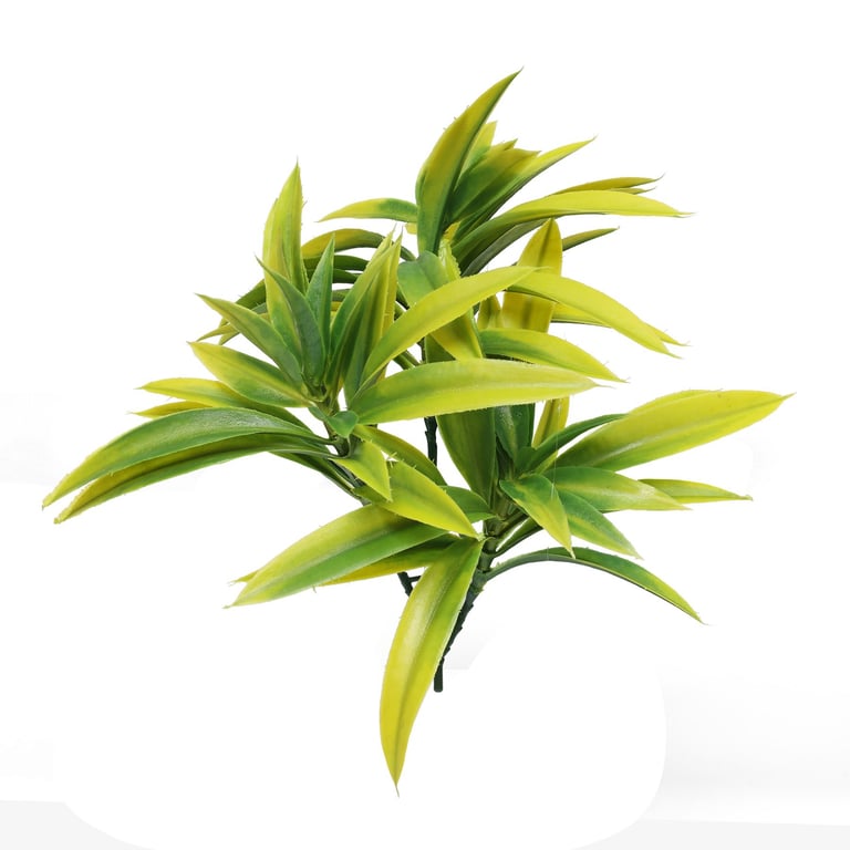 Yellow Tipped Yucca Trio - 25cm Indoor Succulent Plant Decor for Home Garden