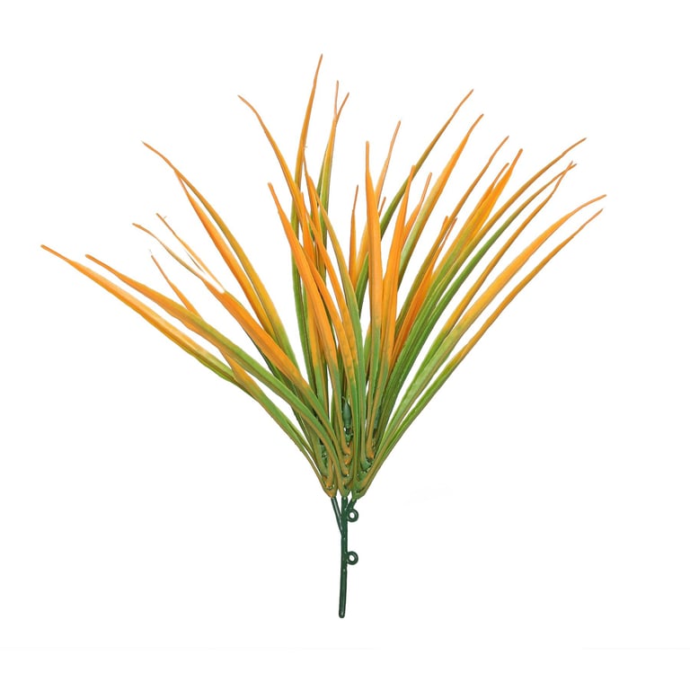 Orange Hardy Grass - 30cm Drought-Tolerant Outdoor Plant for Garden Landscaping and Lawn Decoration
