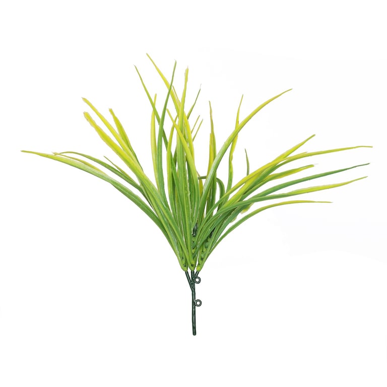 Yellow Hardy Grass 30cm - Drought Tolerant Outdoor Garden Ornament