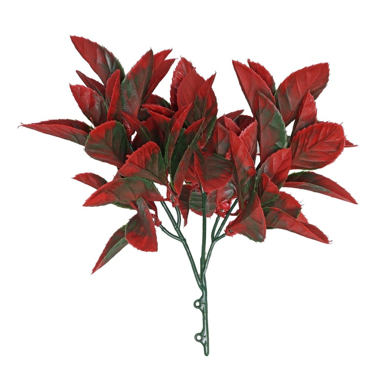 30cm Red Fiery Bush - Vibrant Home Decor Indoor Plant