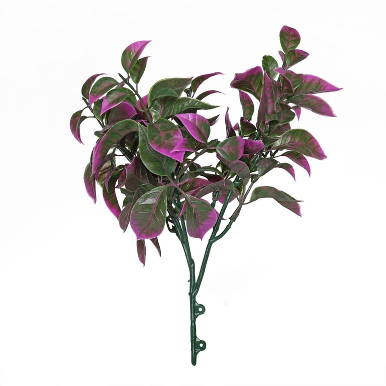 Purple Pointy Bush - 25cm Indoor Home Decor Plant with Small Pointed Leaves