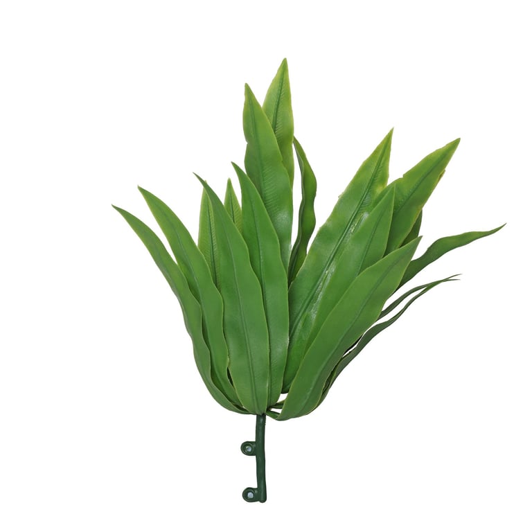 22cm Green Birdy Fern - Exotic Indoor Greenery Plant for Home Decor
