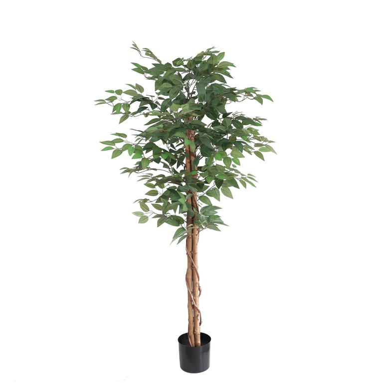 Artificial Ficus Tree - 152cm Tall Indoor Plant for Home Decor and Office Greenery