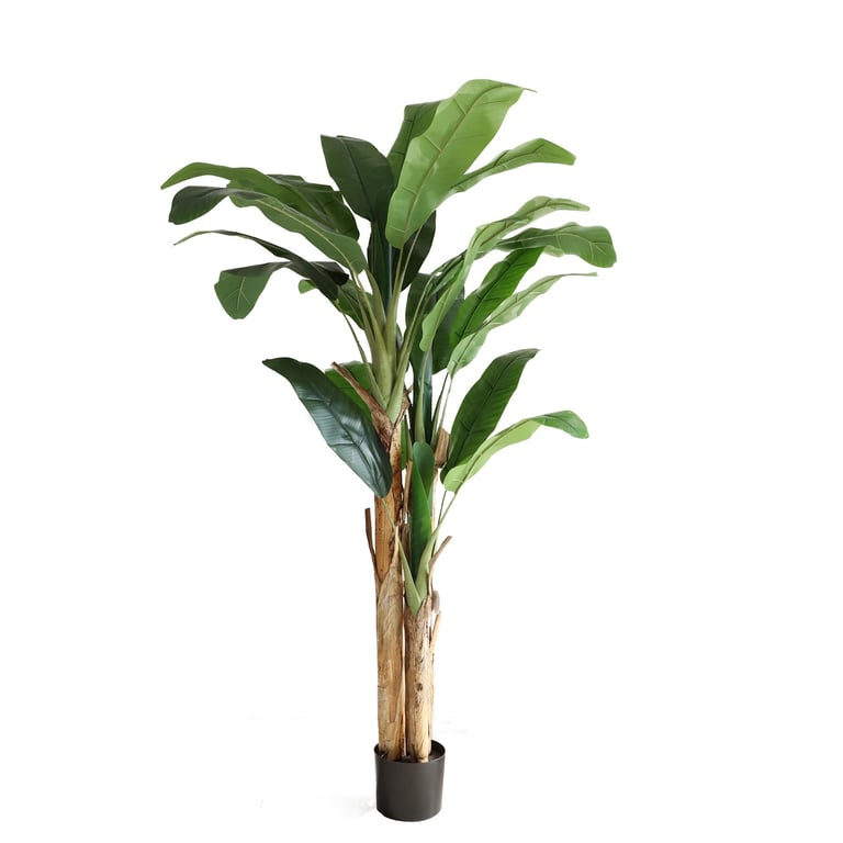 Artificial Banana Tree 205cm - Indoor Plant Decoration for Home Decor and Tropical Ambiance