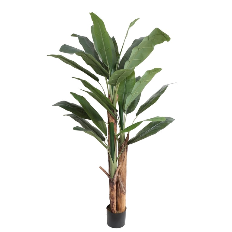 Artificial Banana Tree - 185cm Tropical Indoor Plant for Home Decor and Office Greenery