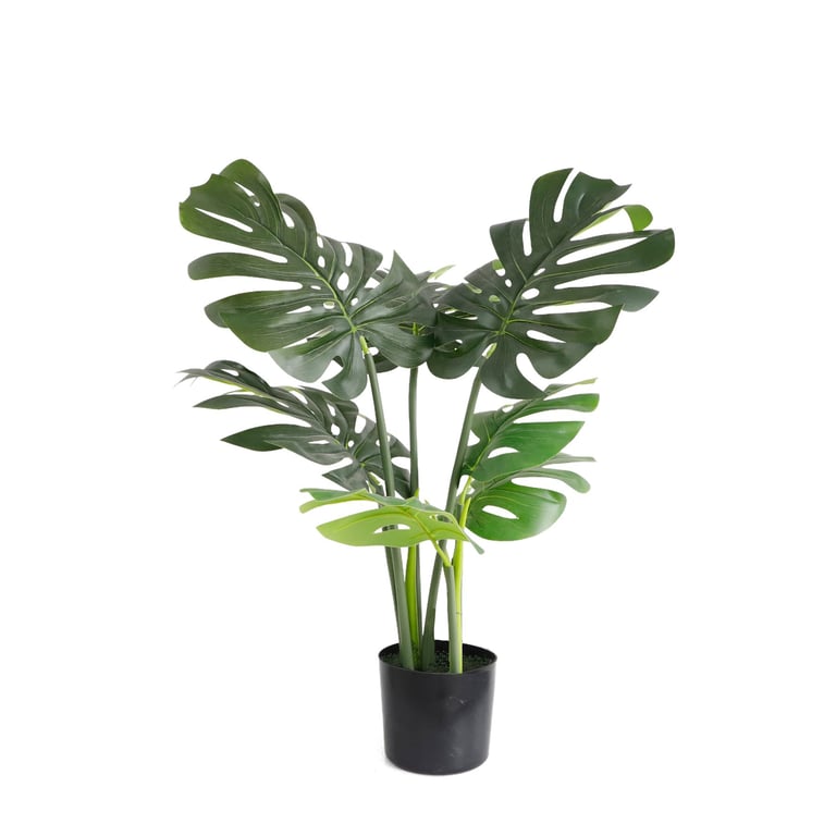 Artificial Monstera Tree - 60cm Greenhouse Decor for Indoor Jungle Theme Office Greenery