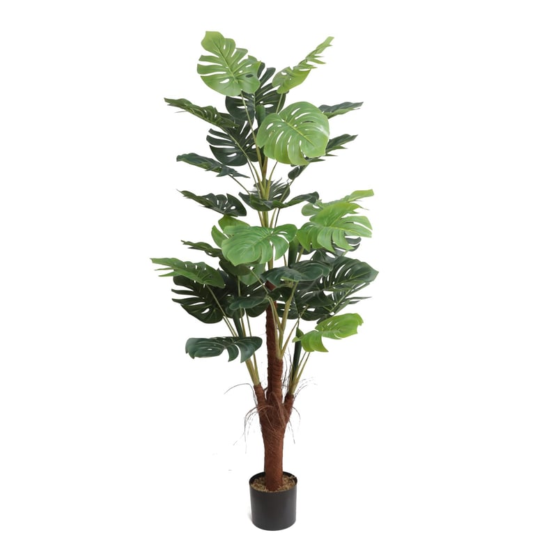 Artificial Monstera Tree (185cm) - Large Green Indoor Decor for Home and Office