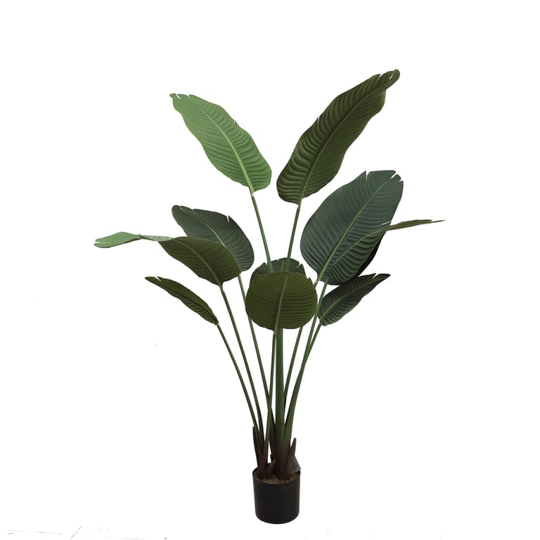 Artificial Travellers Palm Tree - 150cm Tall Home Decor and Office Plant