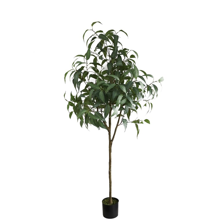Artificial Eucalyptus Sugar Gum Tree 183cm - Large Indoor Decorative Plant for Home and Office