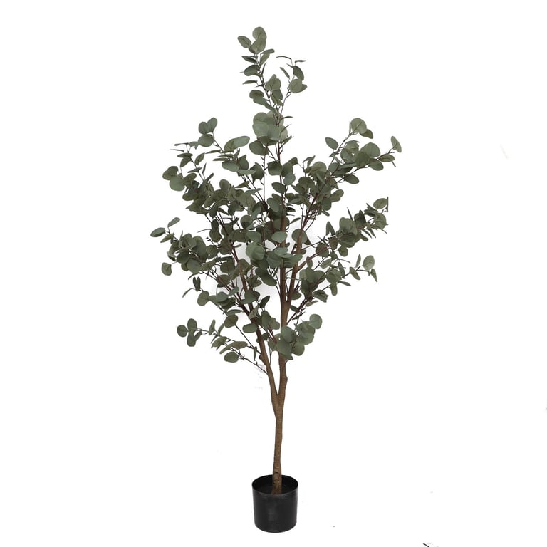 Artificial Eucalyptus Tree - 170cm Large Indoor Decoration