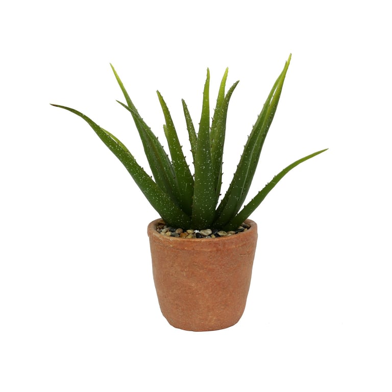 Terracotta Botanica 35cm Agave Potted Succulent Indoor Desert Plant Home Decor