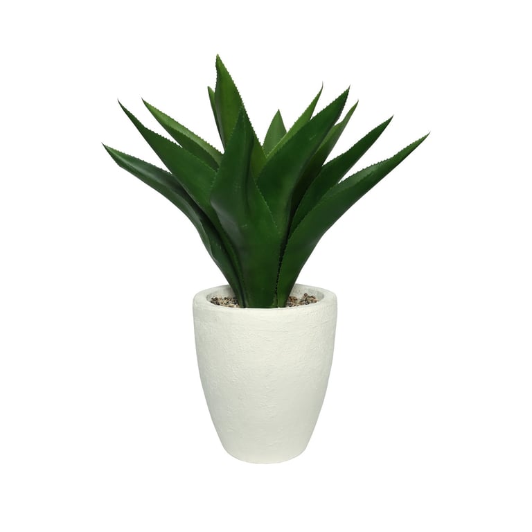 White Botanica Potted Agave - 73cm Indoor Succulent Plant for Home Decor and Botanical Interior