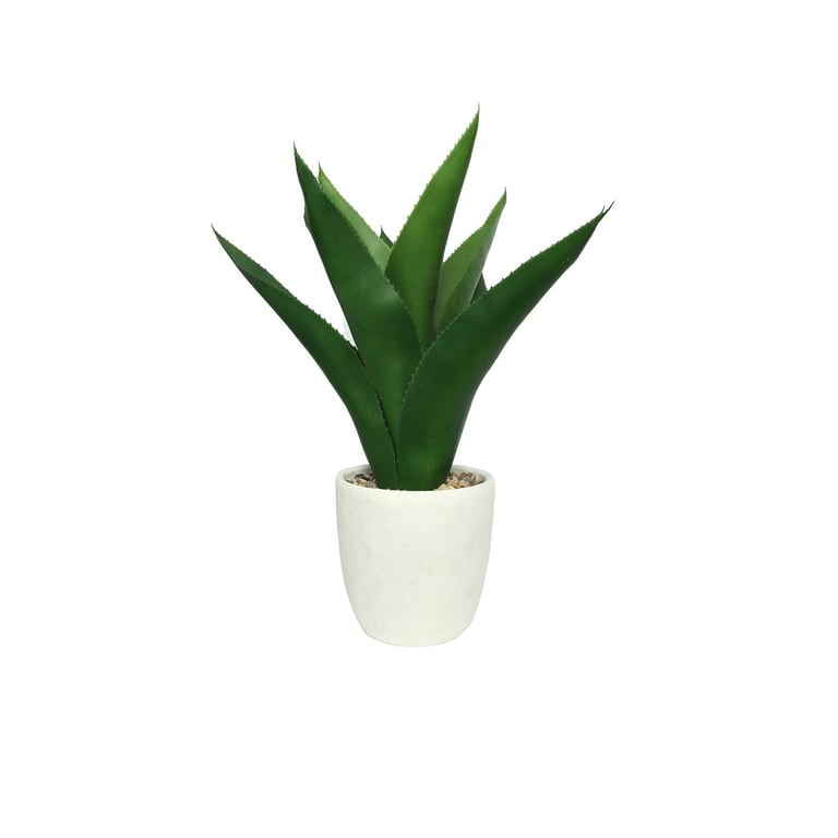 White Botanica Potted Agave - 61cm Indoor Succulent Home Decor Plant