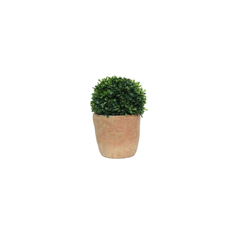 Terracotta Botanica 15cm Potted Topiary - Small Indoor Greenery Decoration for Home Decor