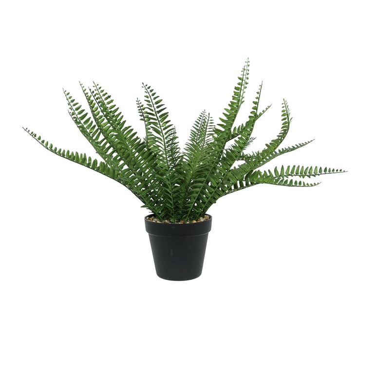 Black Botanica Potted Fern - 44cm Large Indoor Home Garden Decoration Plant
