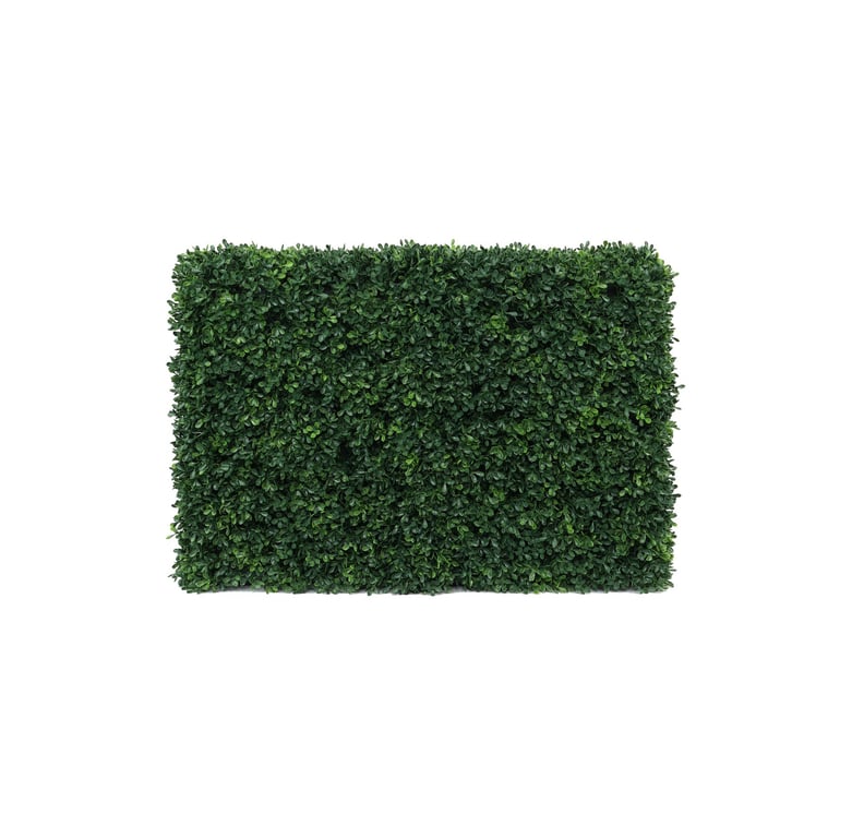 UV Botanica Hedge - UV Protection Indoor Plant for Home Garden Decor and Green Walls