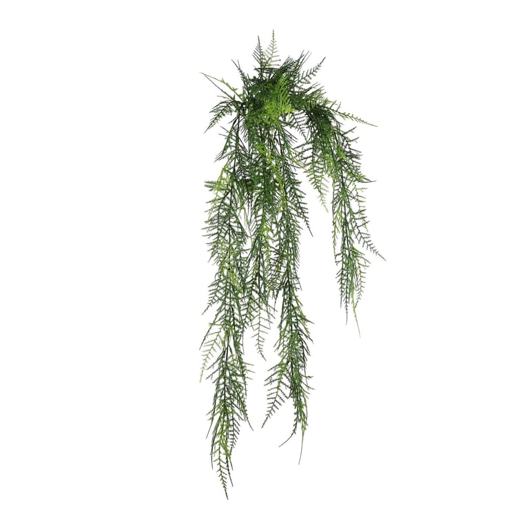 UV Exterior Junglist Asparagus Bush - Durable Outdoor Accent Plant with UV Protection, 83cm Tall